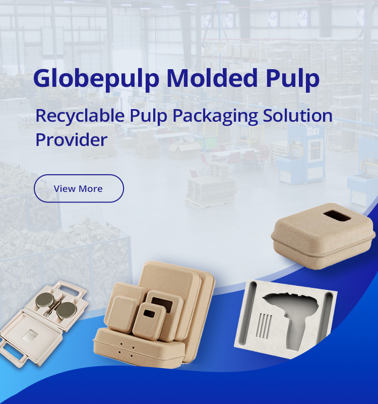 Globepulp Molded Pulp Packaging Banner