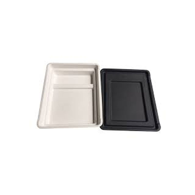 Custom Dry Pressed Pulp Trays