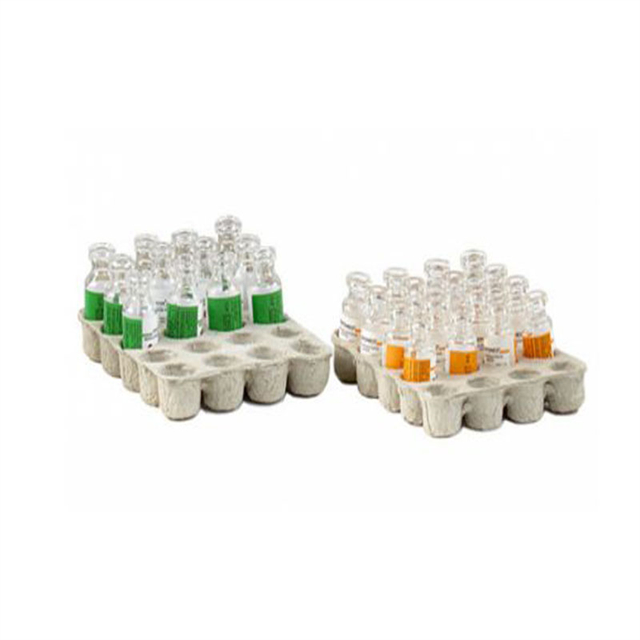 Custom Dry Pressed Bottle Pulp Packaging