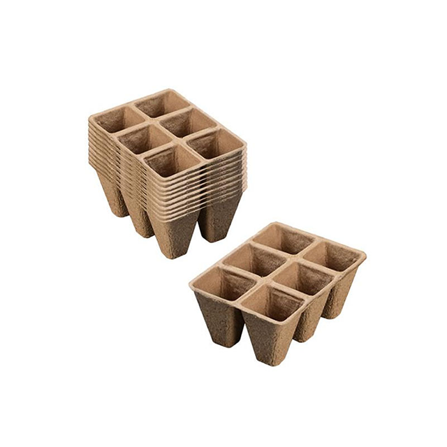 Custom 6 Holes Dry Pressed Pulp Tray