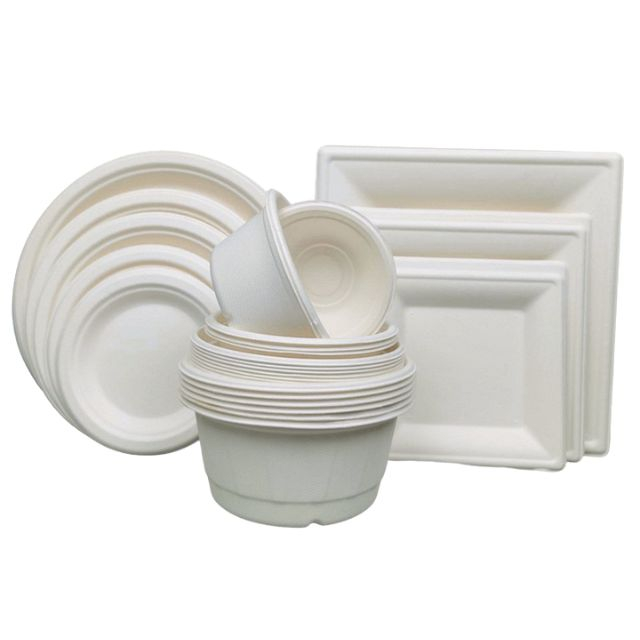 Disposable Sugarcane Pulp Food Packaging Wholesale