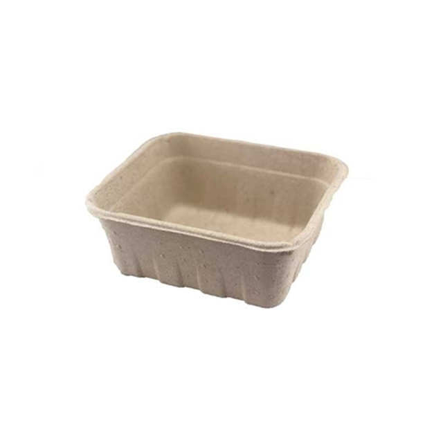 Custom Dry Pressed Pulp Trays