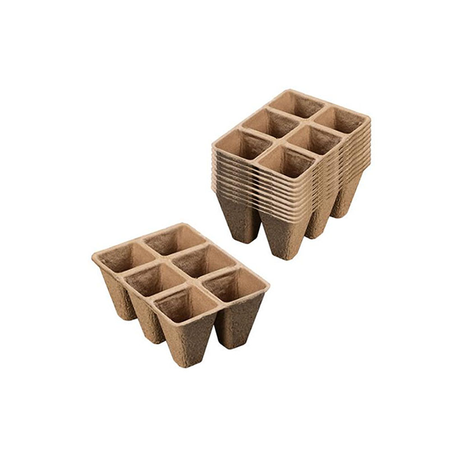 Custom 6 Holes Dry Pressed Pulp Tray