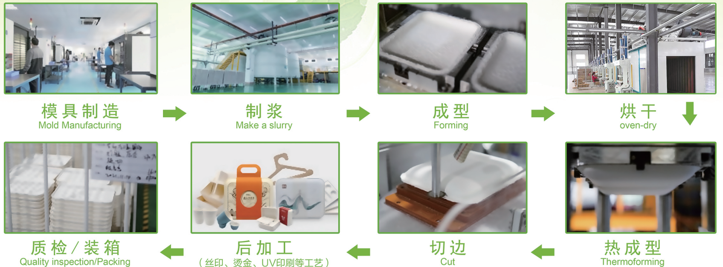 Globepulp molded pulp process